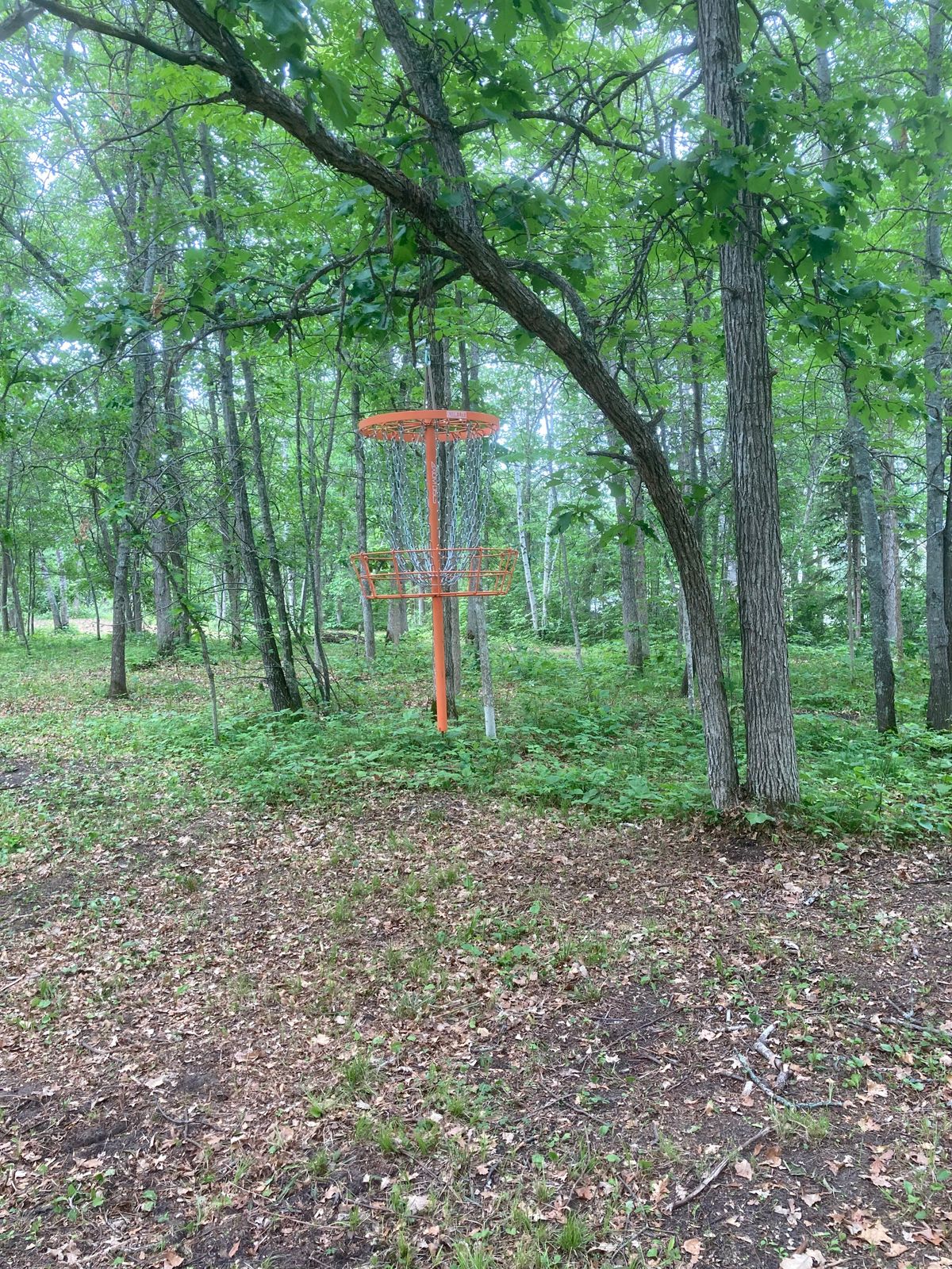 Basket for holes 8 and 12