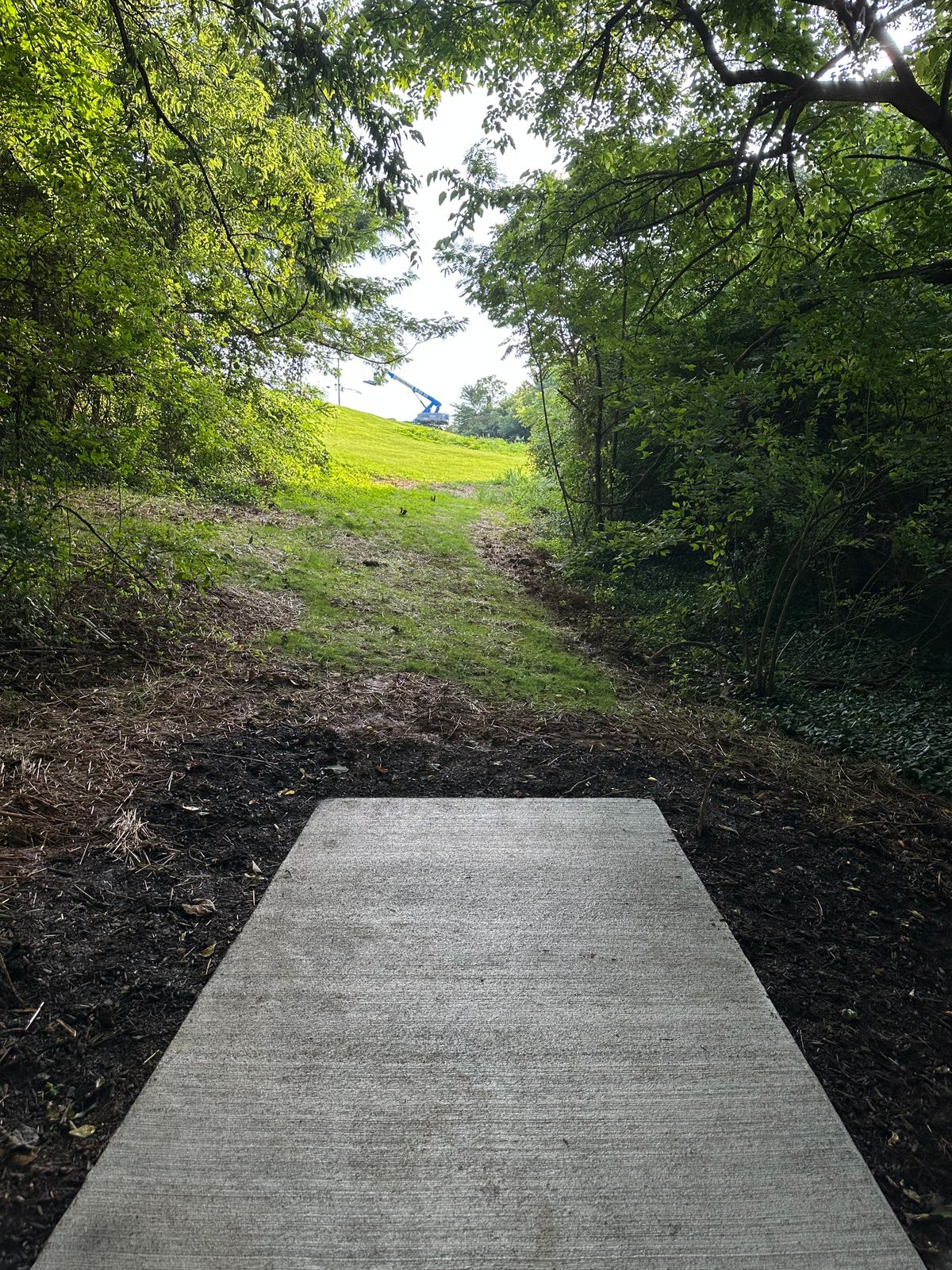 Hole 16 tee