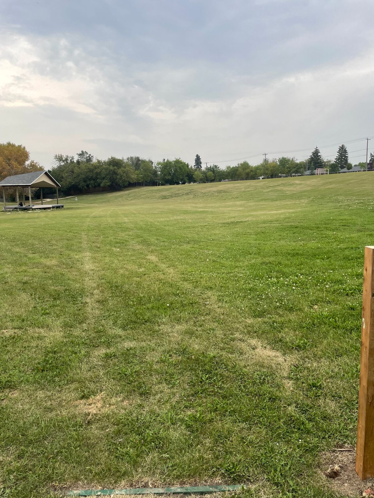 Tee 6