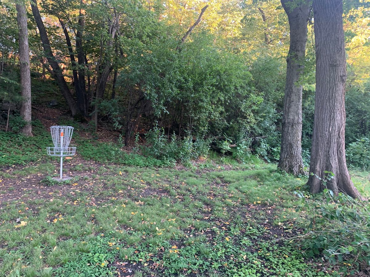 Hole 7 basket.