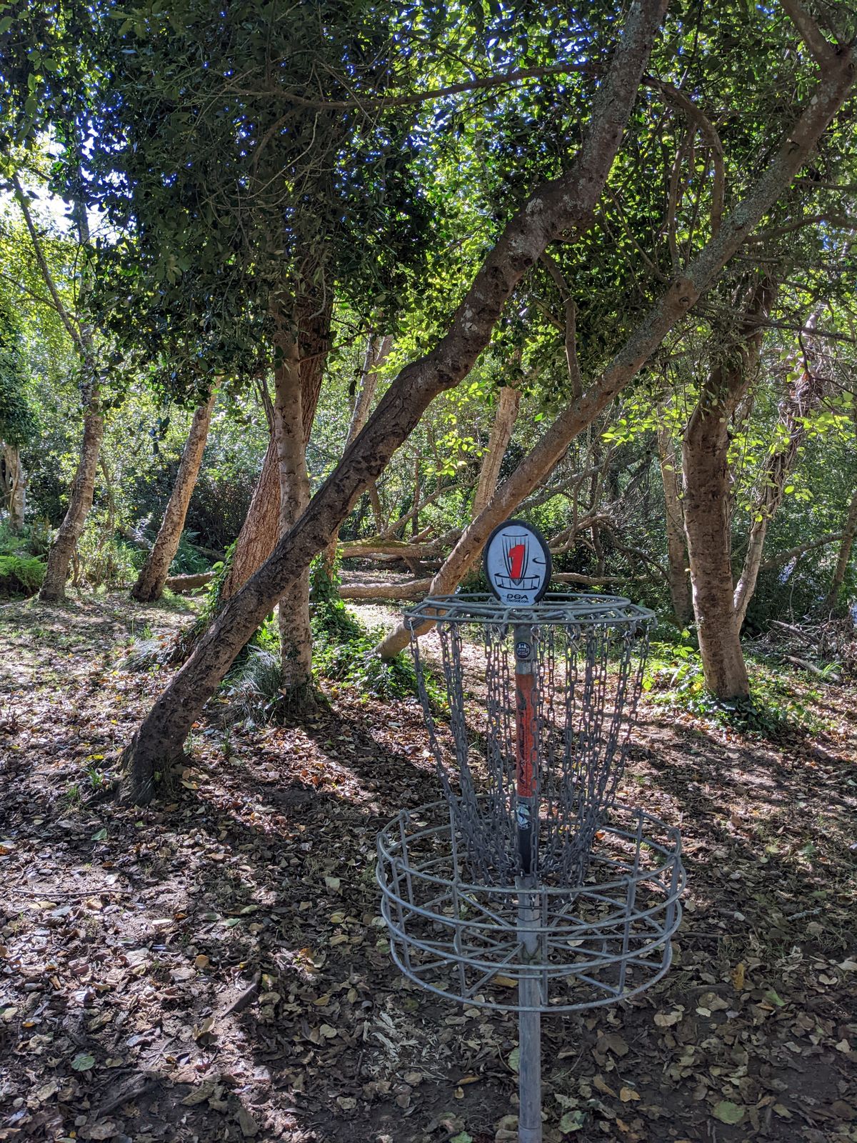 Hole 1 close oosition