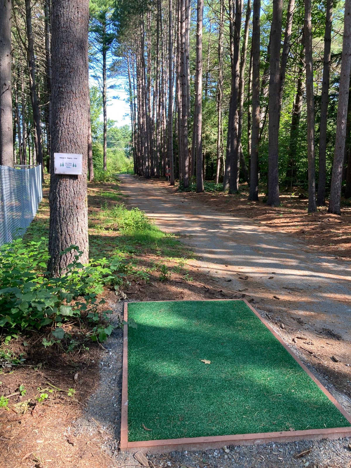 Hole 1