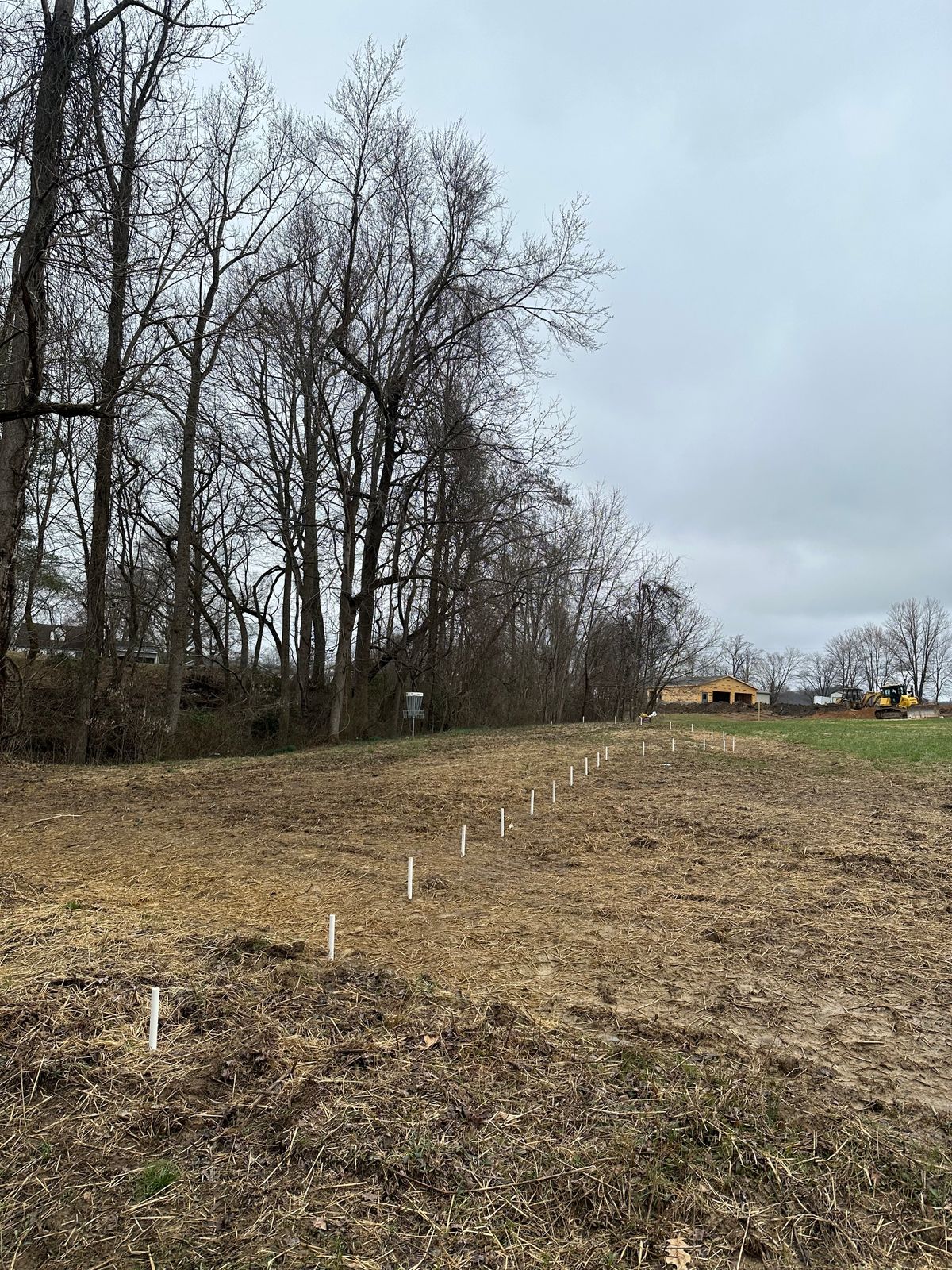 Hole 11