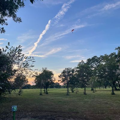 Hole 14
