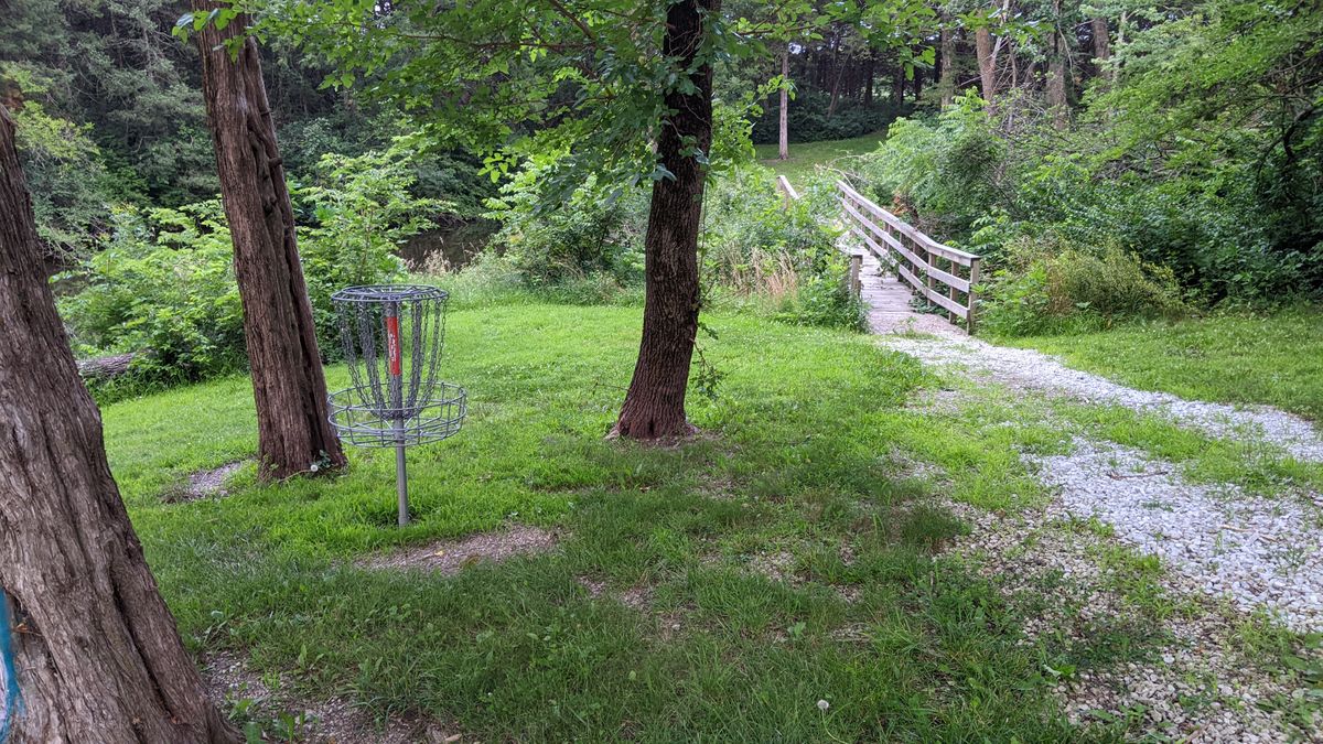 Basket 9 (look back towards tee)