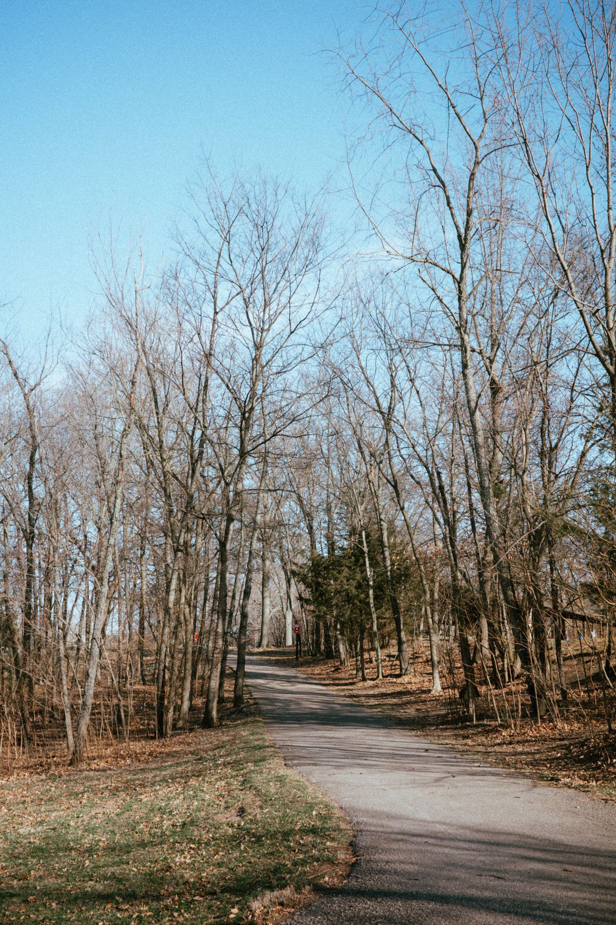 Well maintained and nice trails
