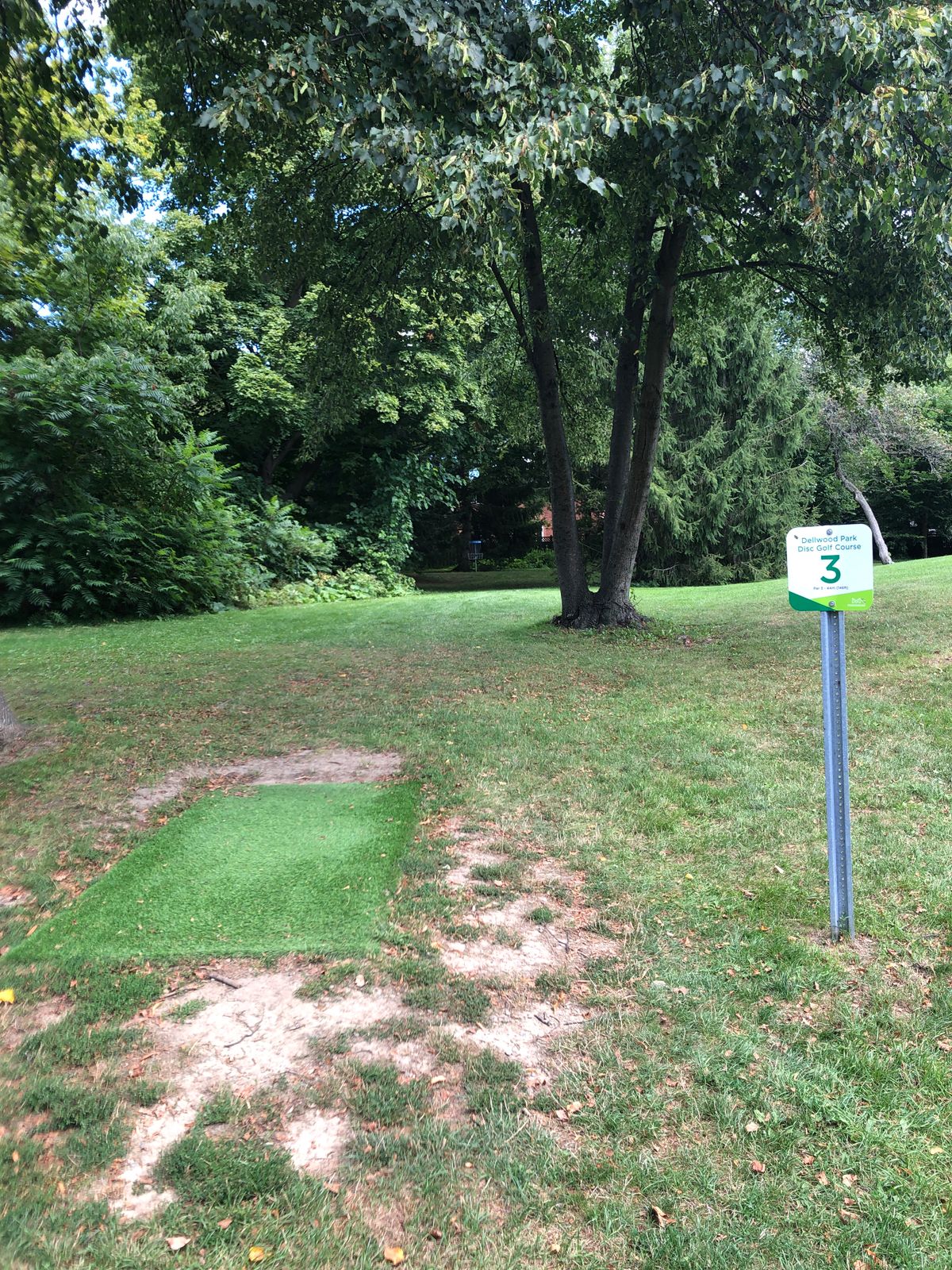 Hole #3 - Tee pads installed June 2024.