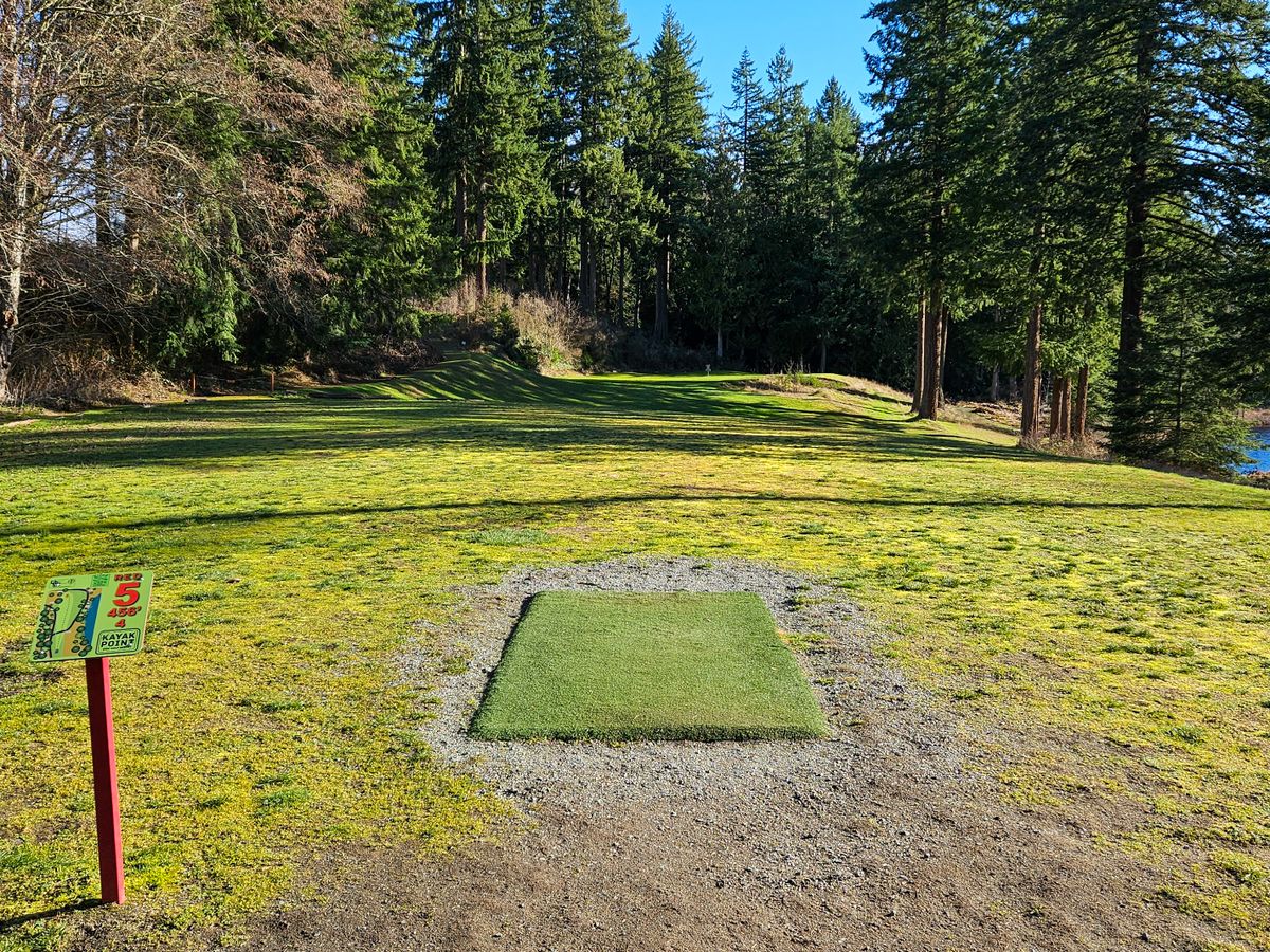 Hole 5 tee pad