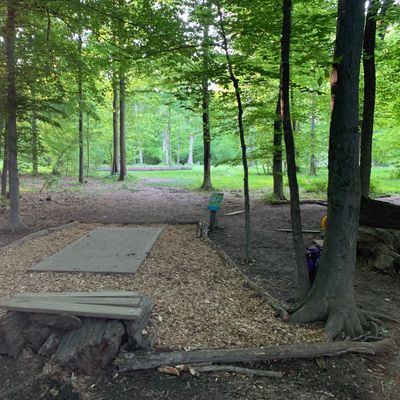 Hole 8 tee