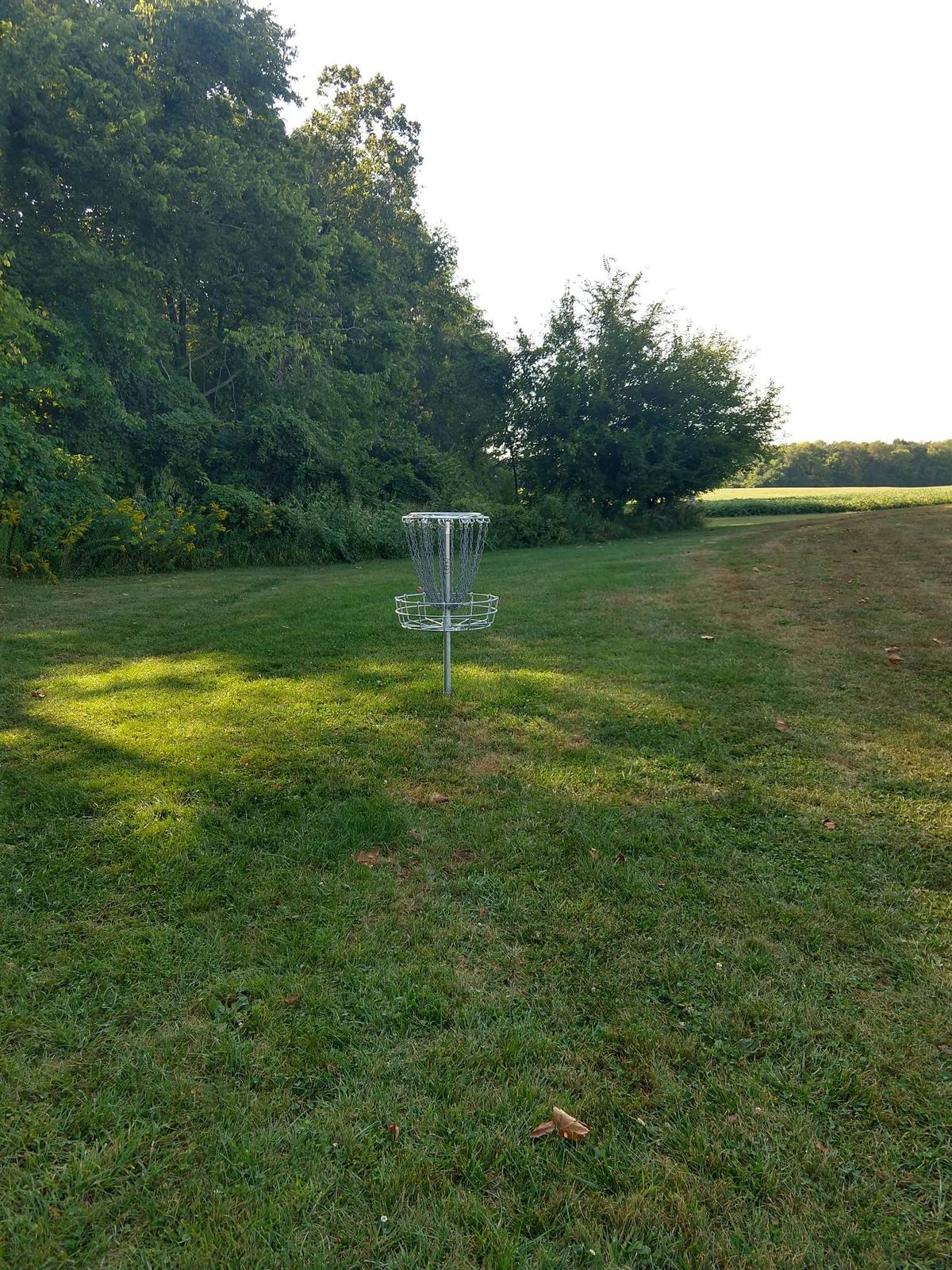 Hole 6