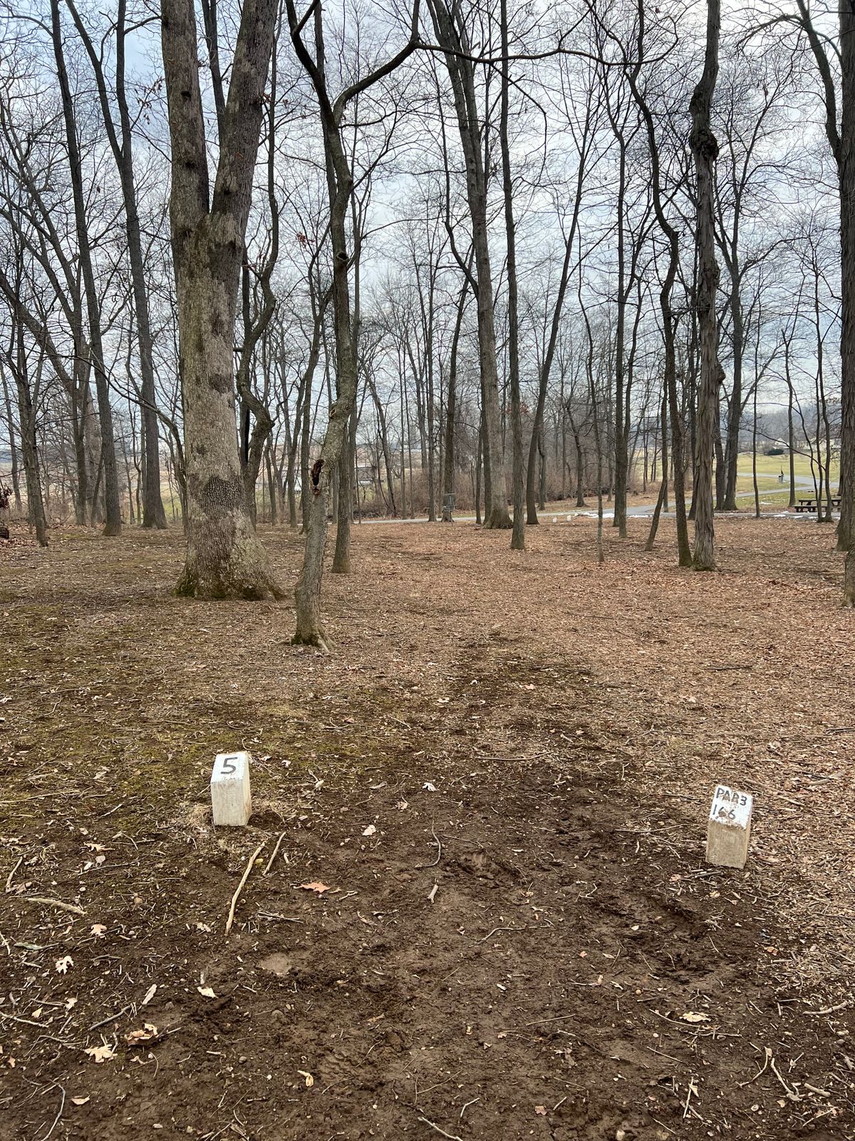 Hole 5