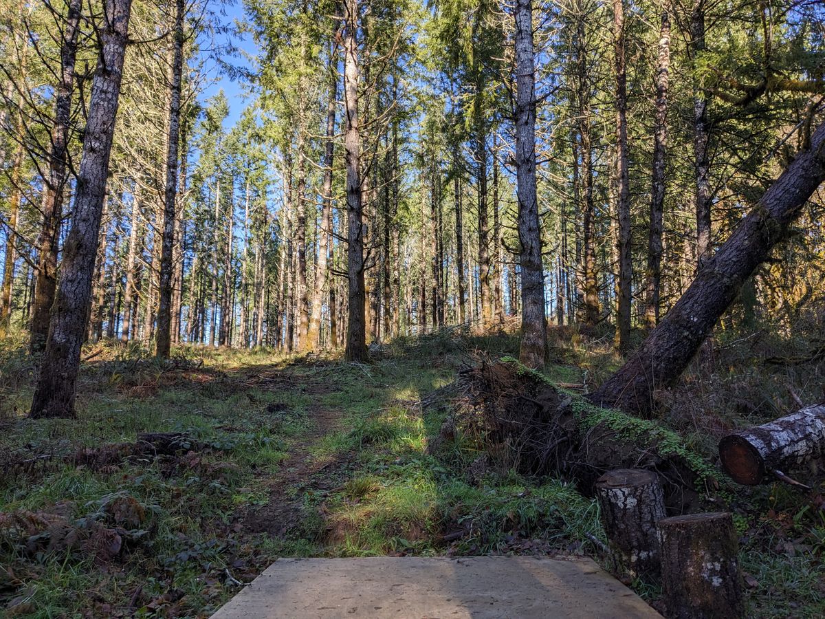 Tee #2.  50 foot elevation to basket