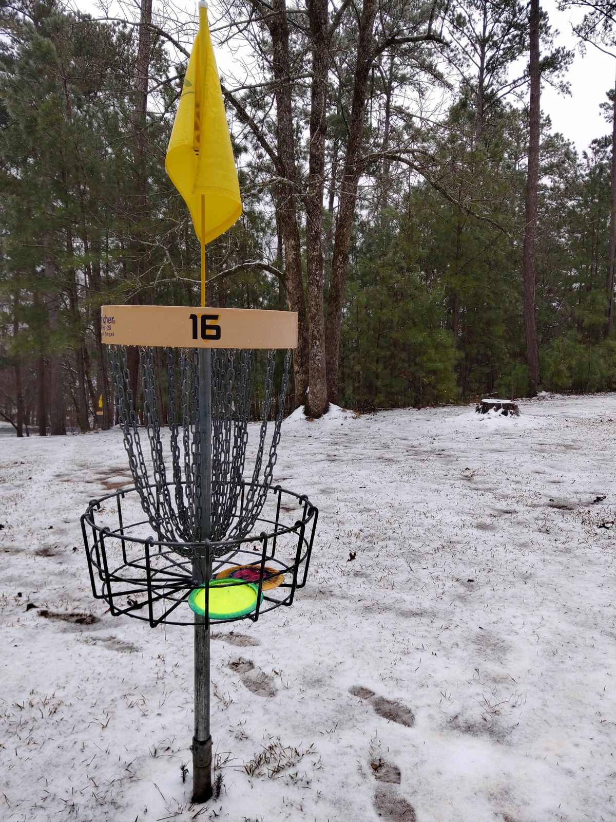 Basket 16 Snow day