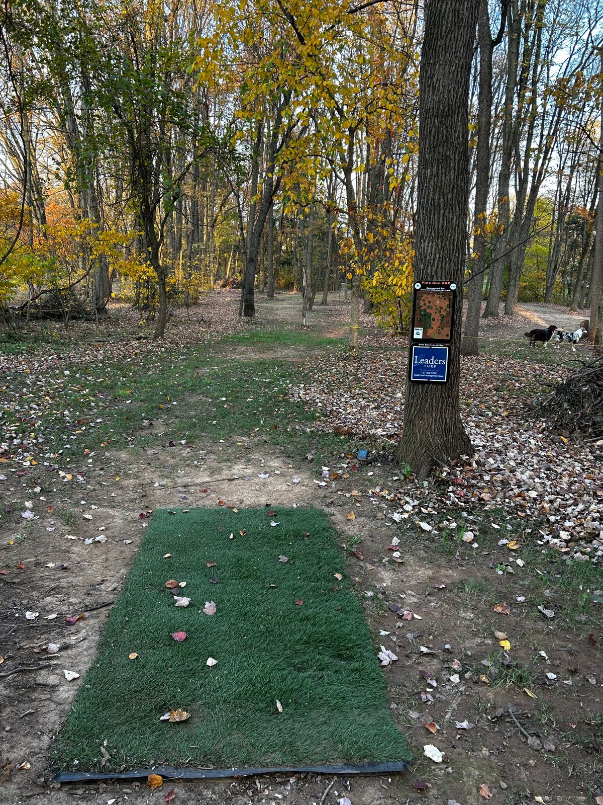Hole 15