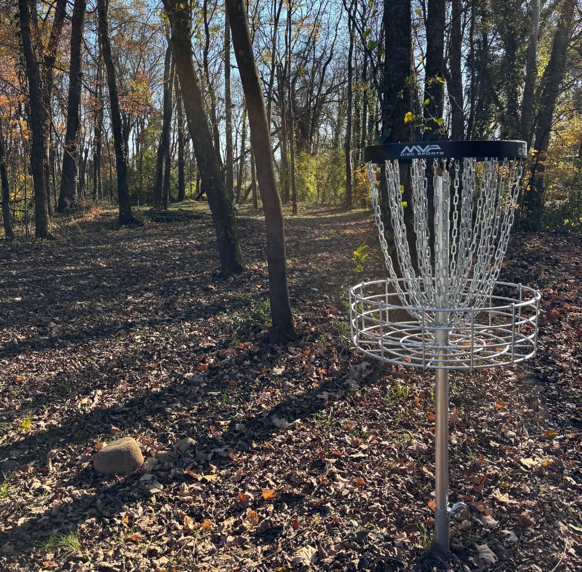 Hole #8 Basket to Tee