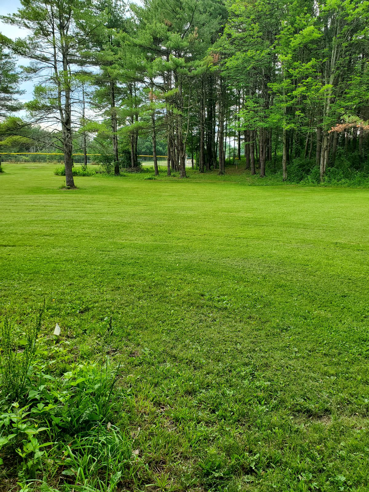 Hole 8 White tee.