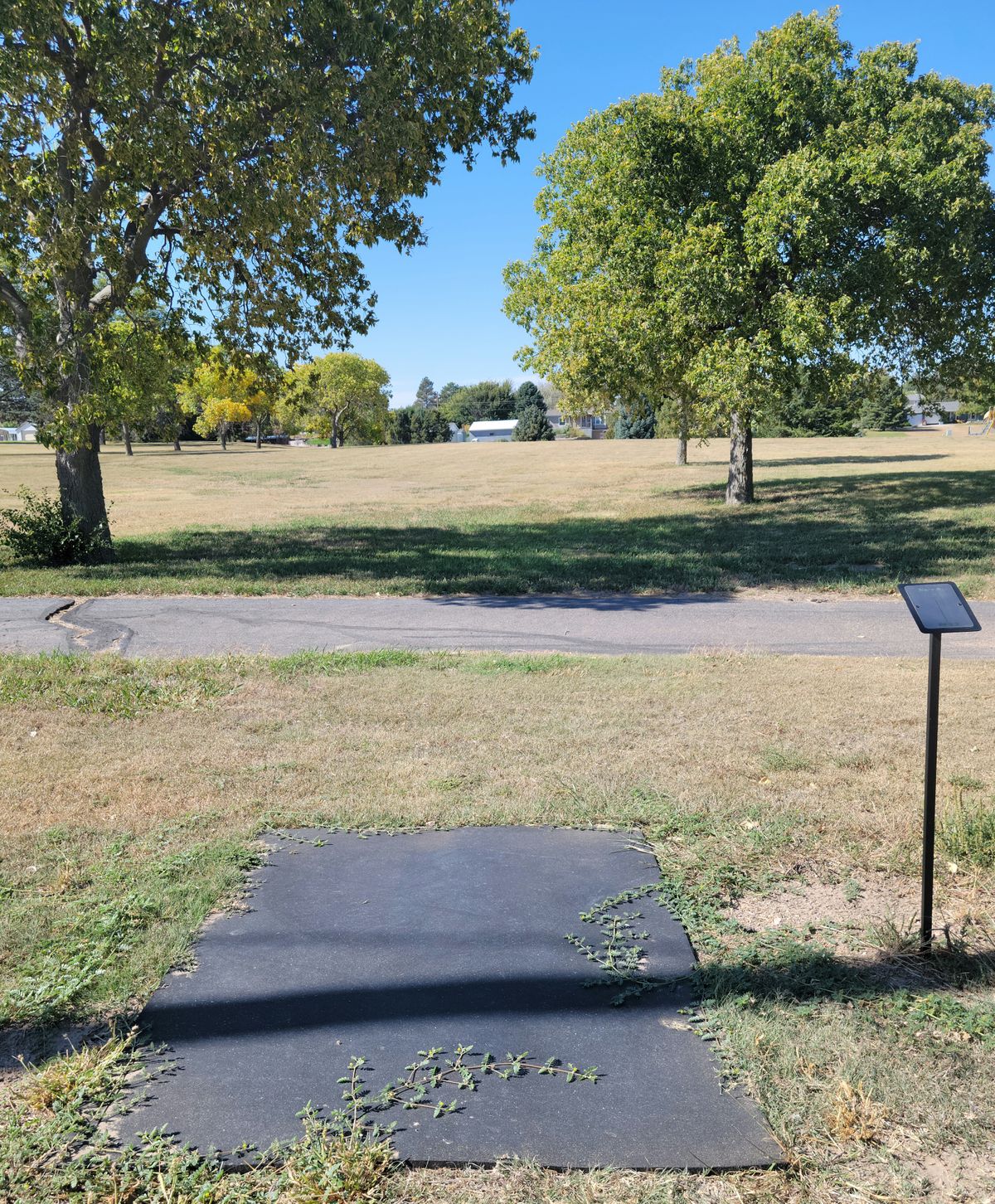 Tee box #8