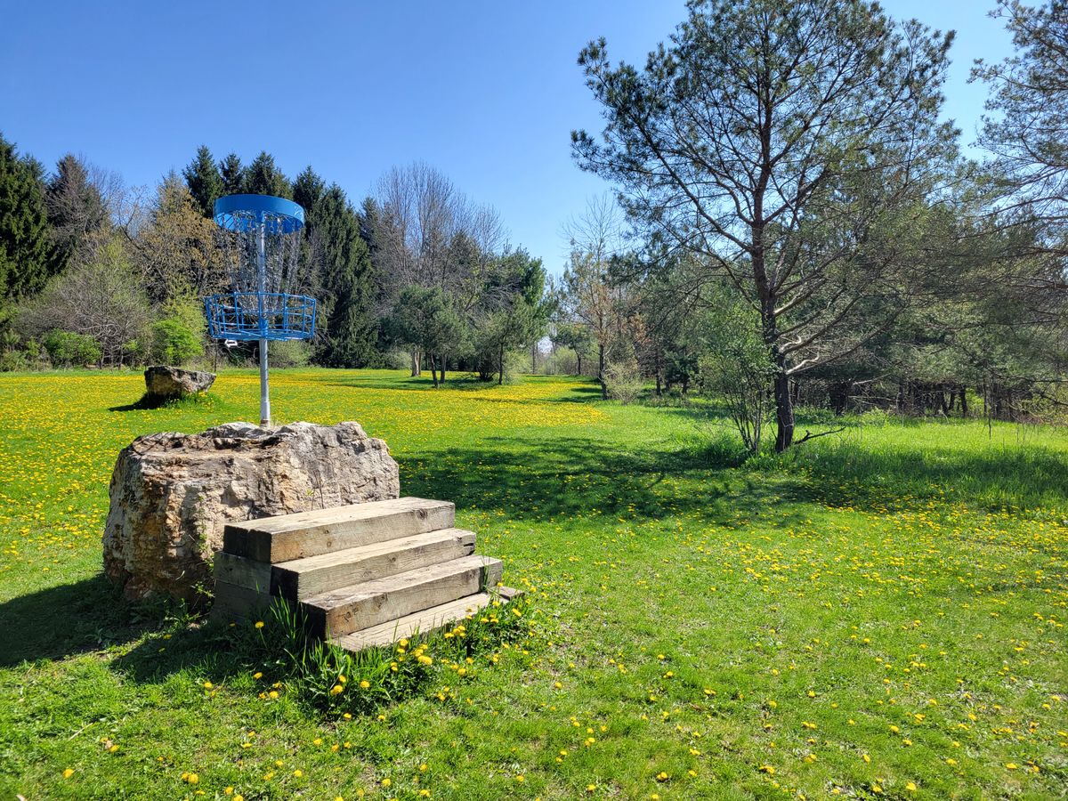 Elevated basket of hole 11, looking back towards the tee.