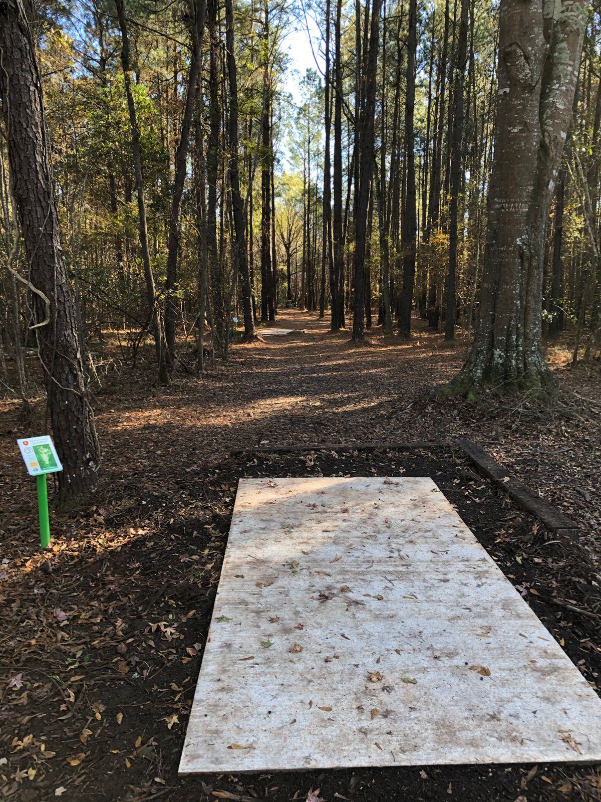 3 tee pad long