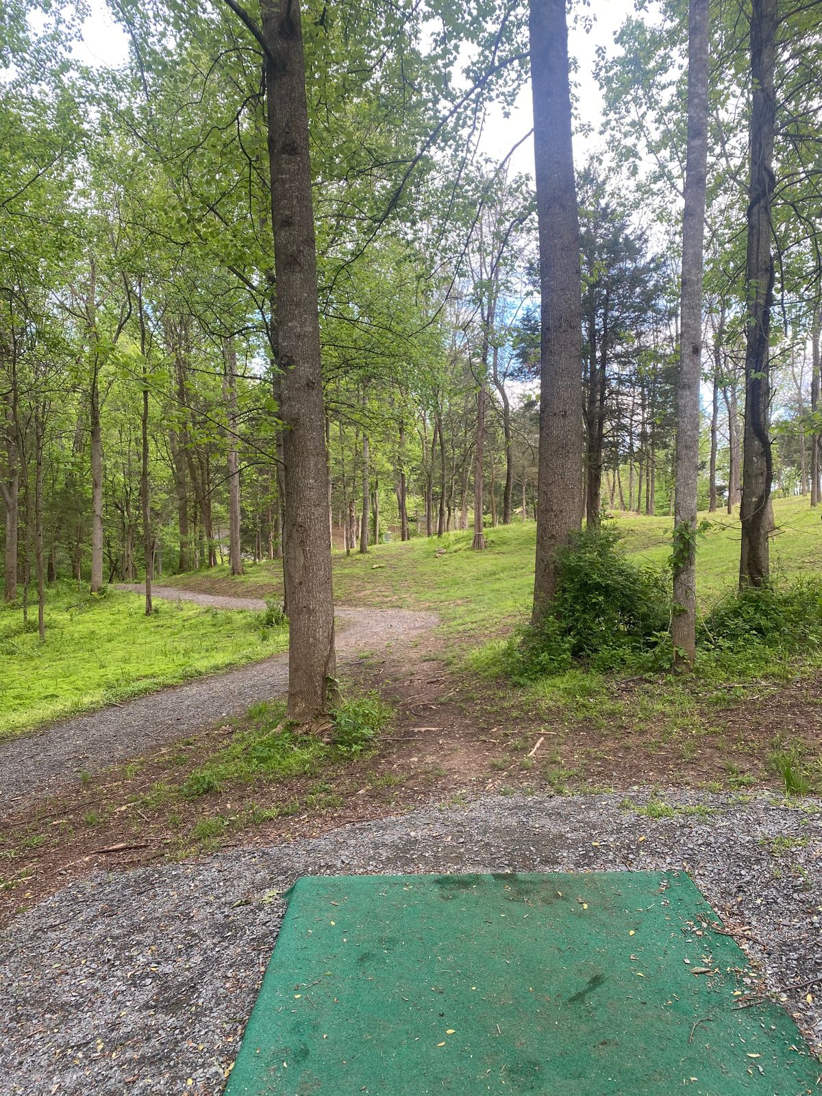 Hole 15 tee pad