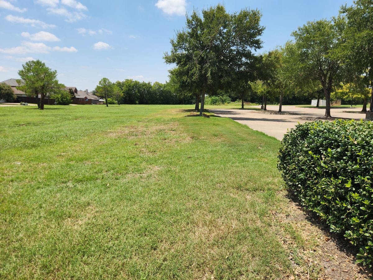 Hole 8 tee