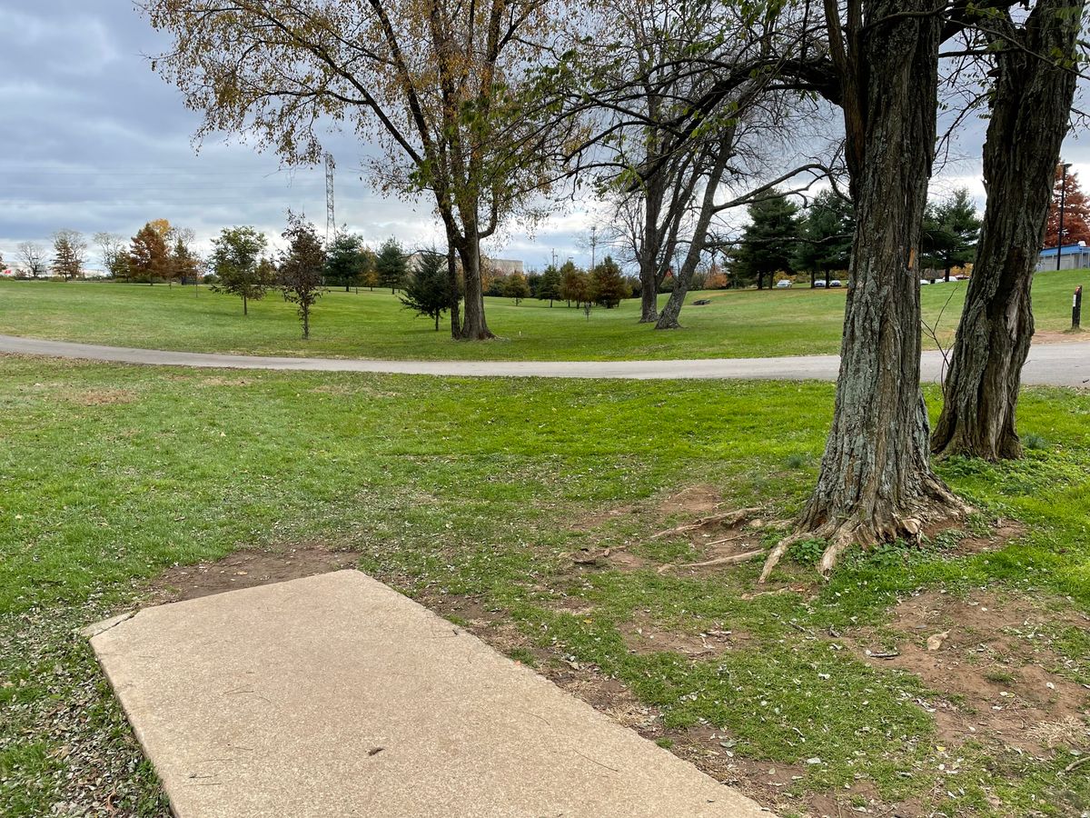 Some cross jogging paths so watch for runners.