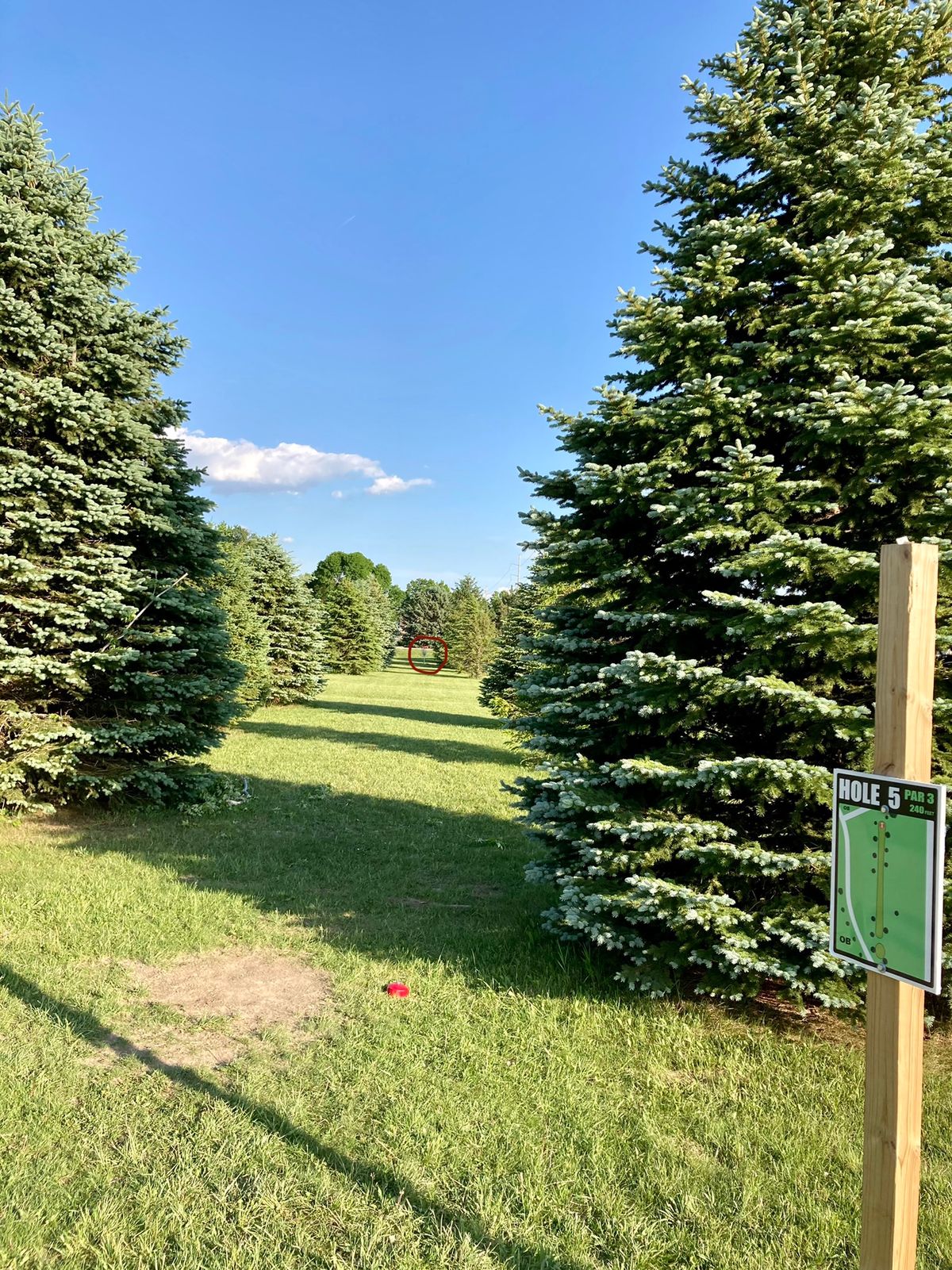 Hole 5