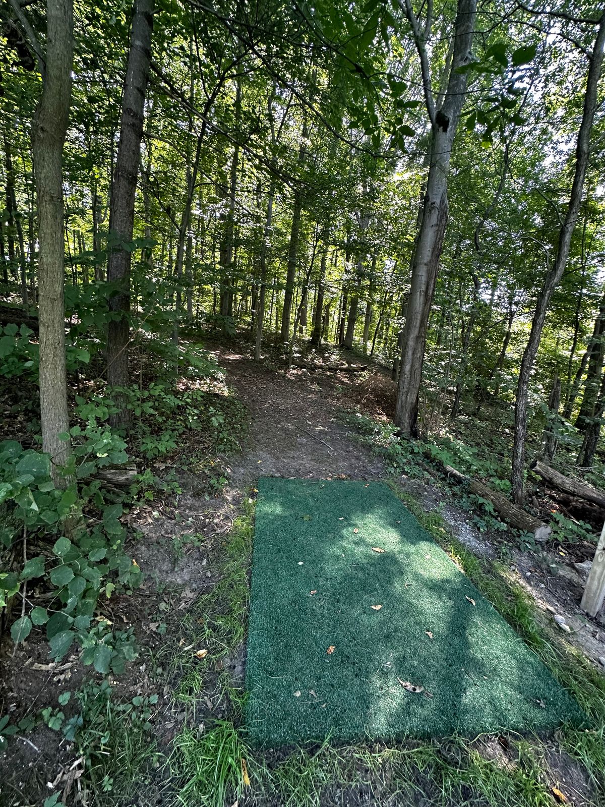 Hole four pad