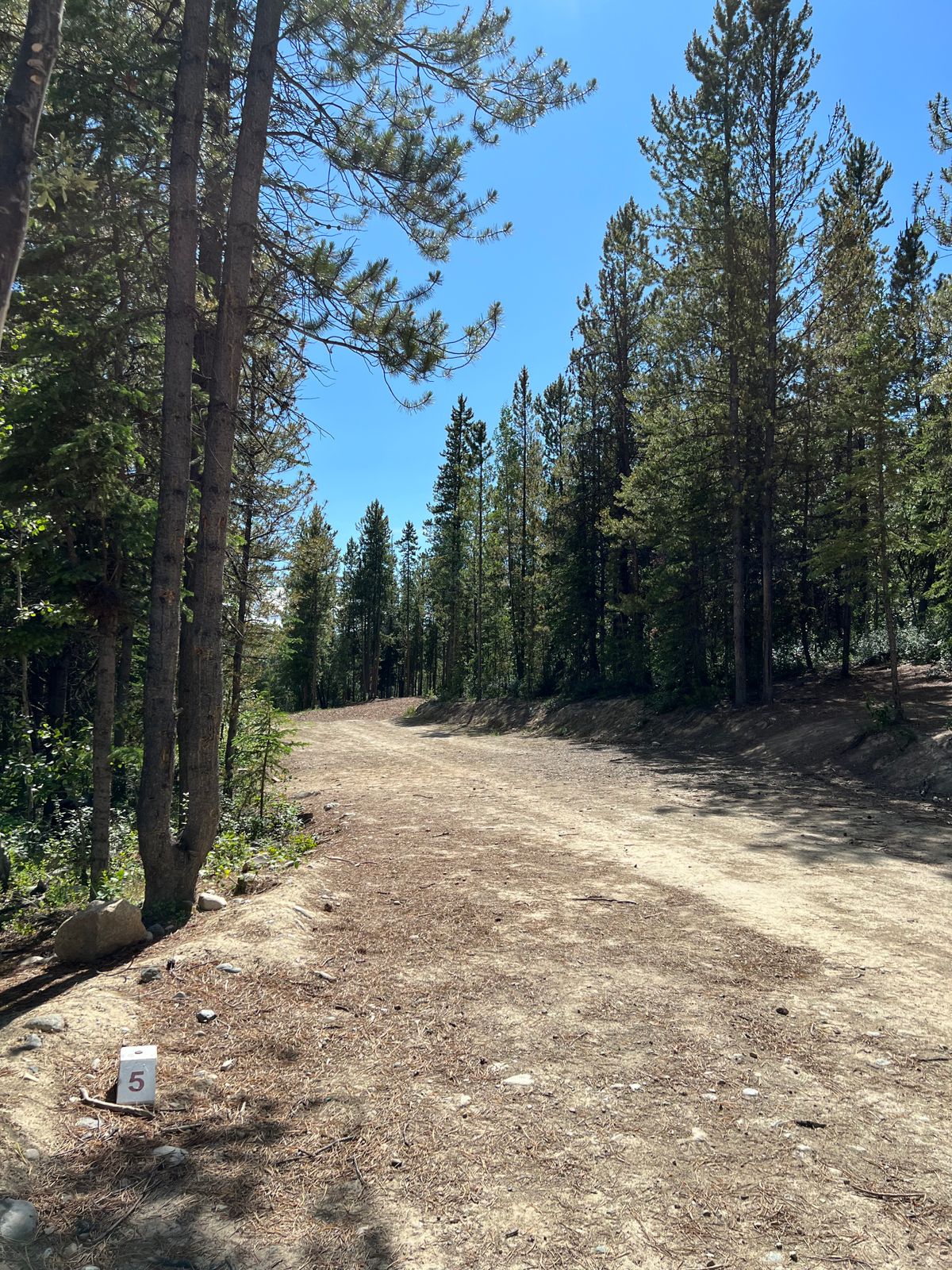 Hole 5 whites