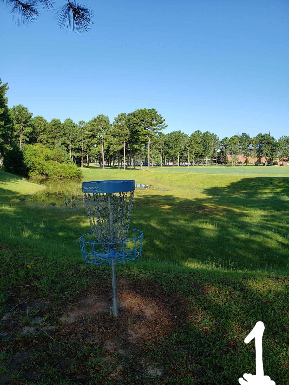 #1 Blue Basket