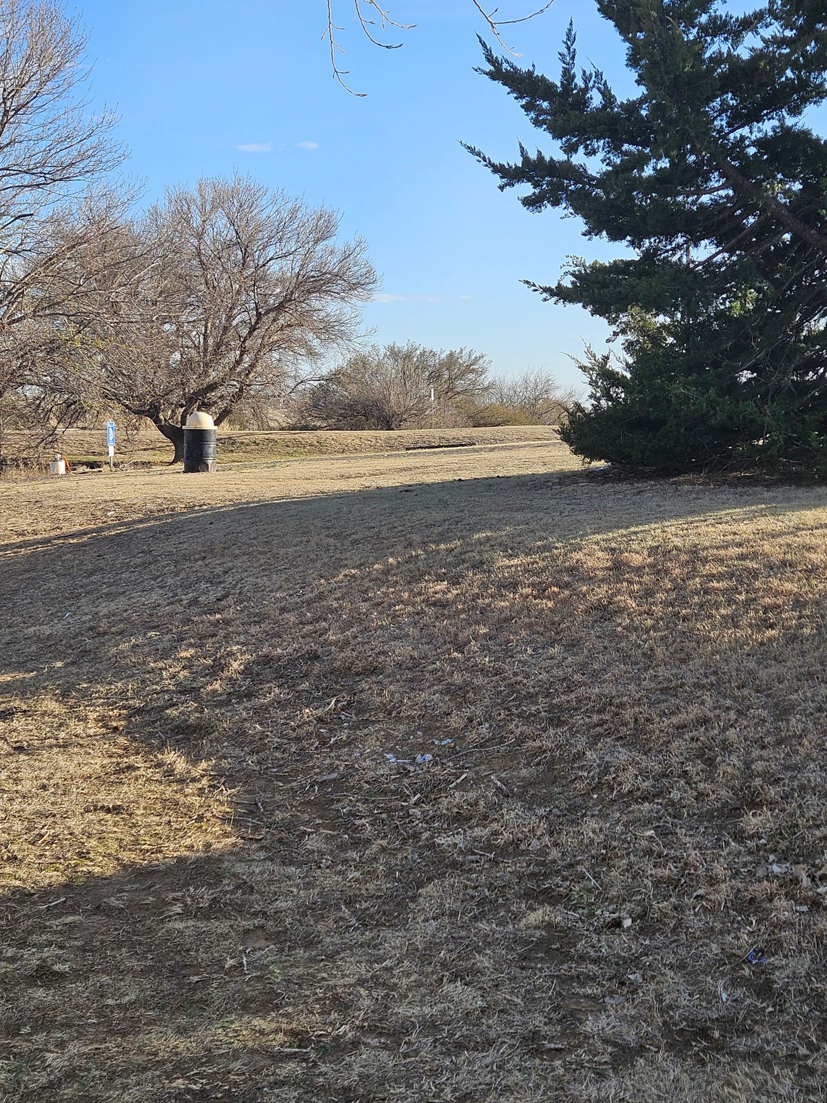 Standing on tee #7