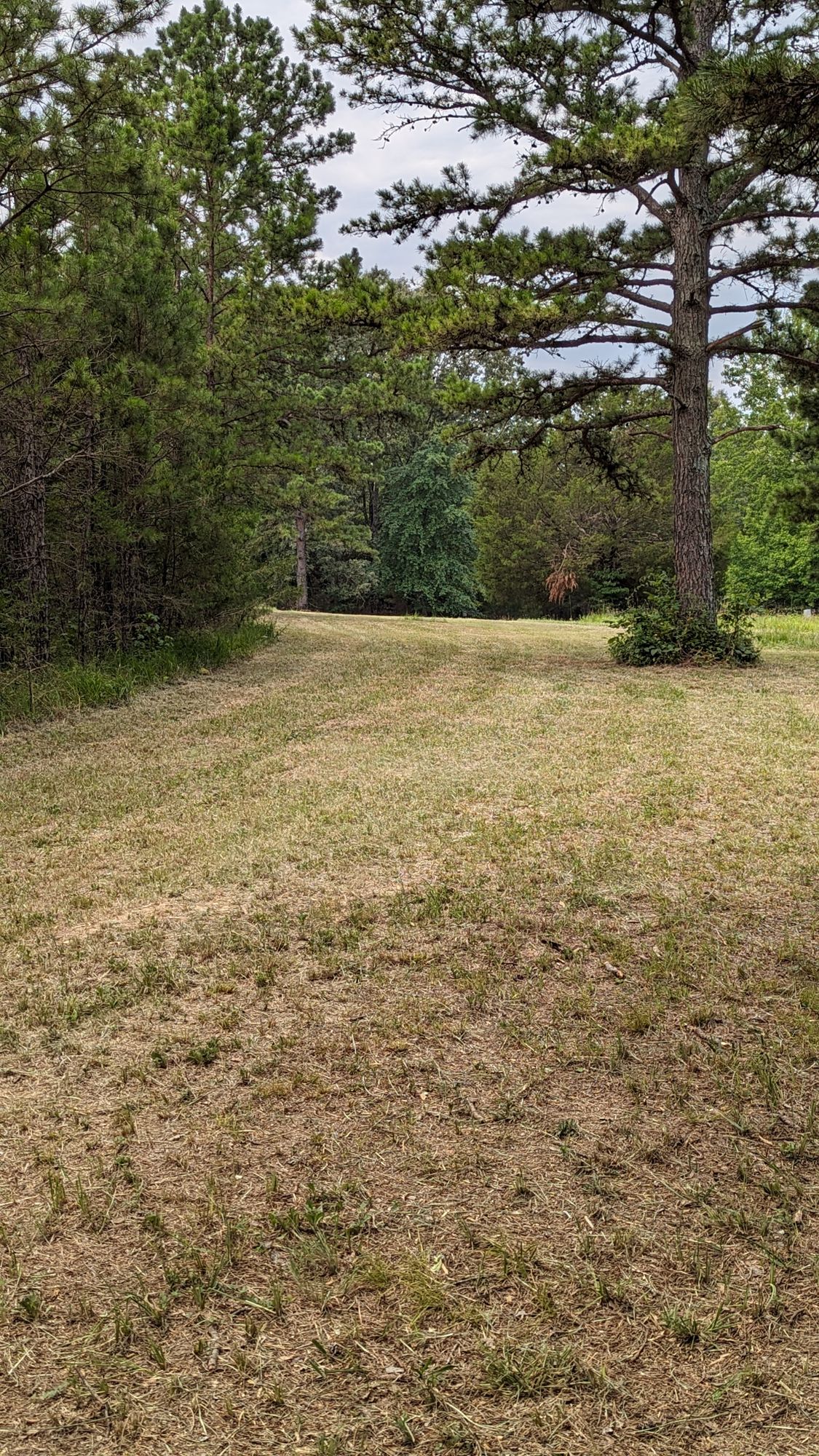 Looking back the fairway on hole 7.  Pin is behind me to the left