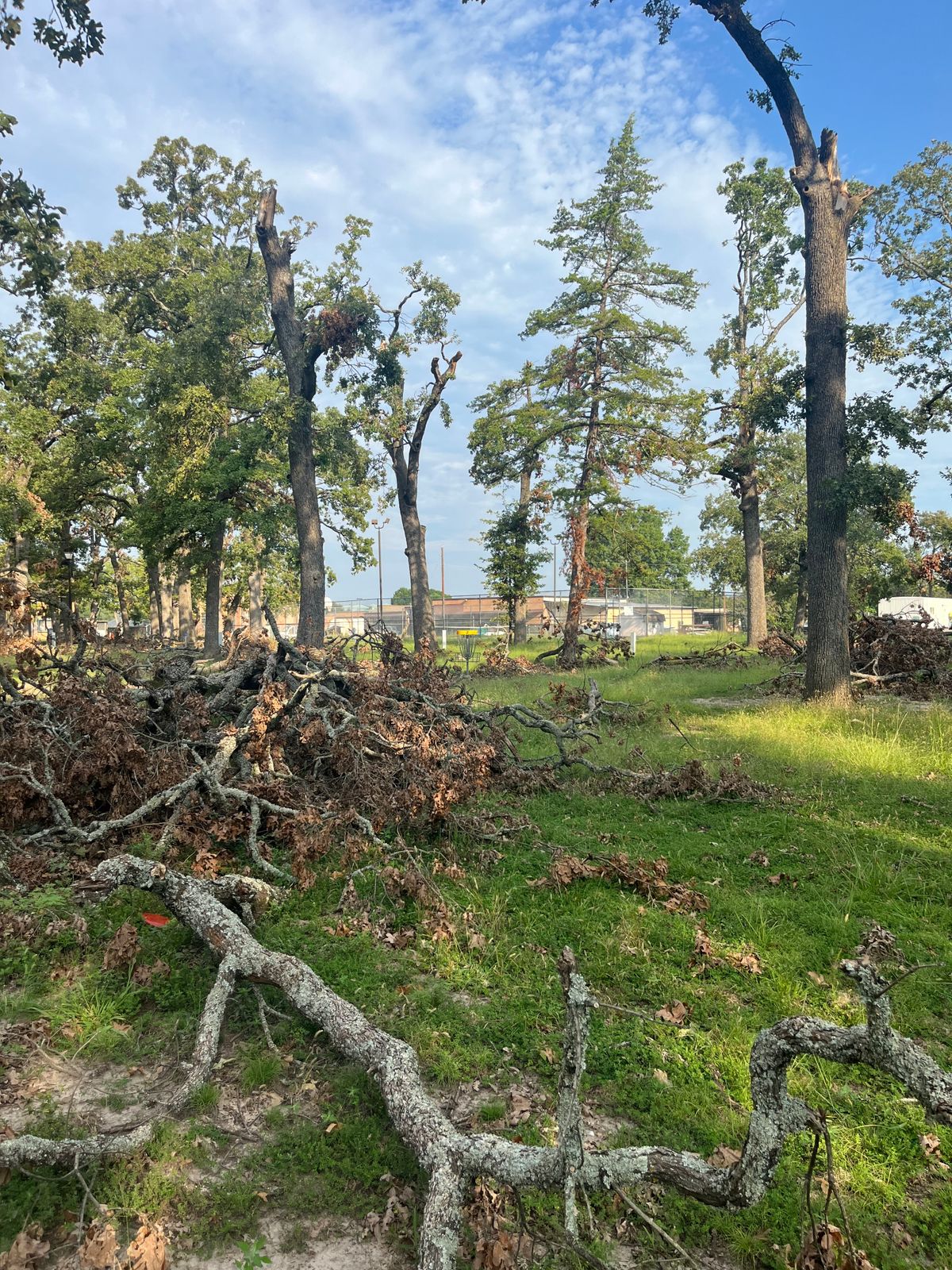 Clearing debris hole 2 fairway