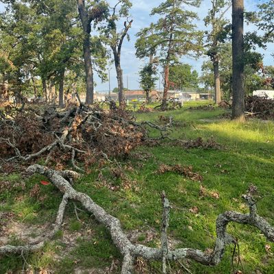 Clearing debris hole 2 fairway