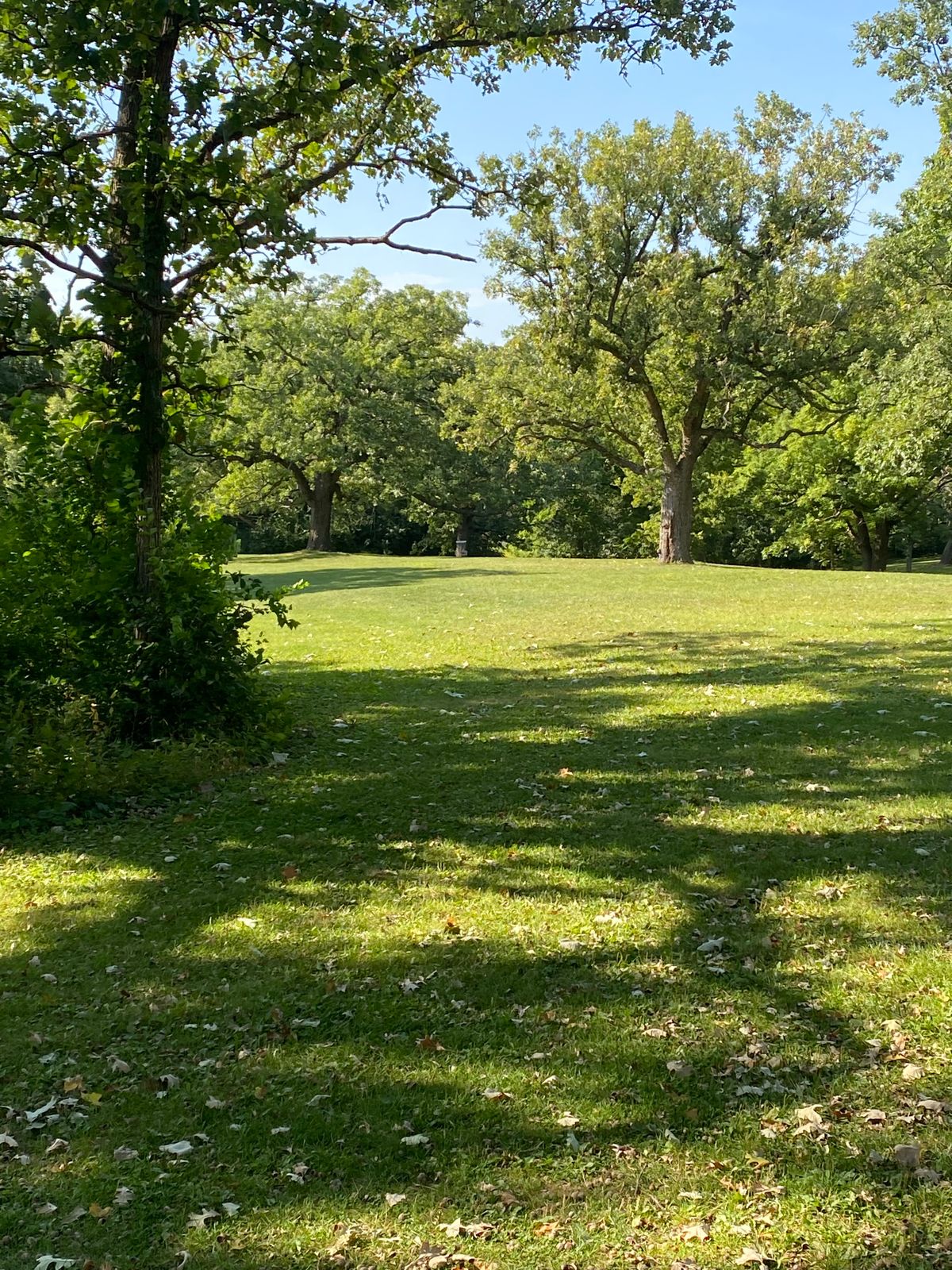 Hole 5 from the tee pad.