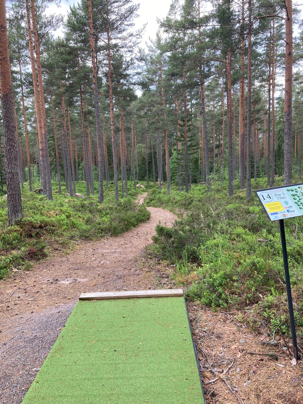 Tee hål 14