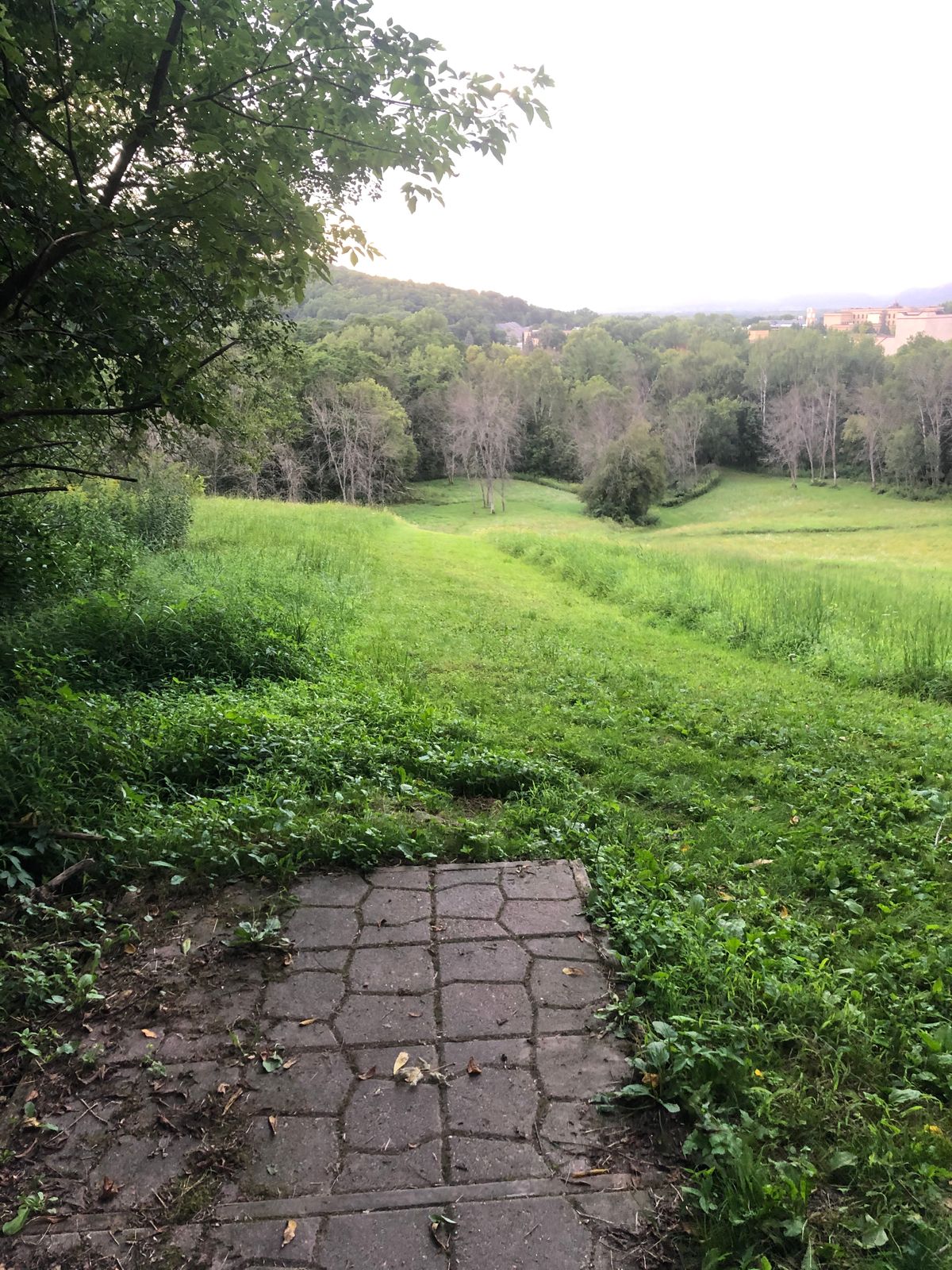 Down hill Hole 17