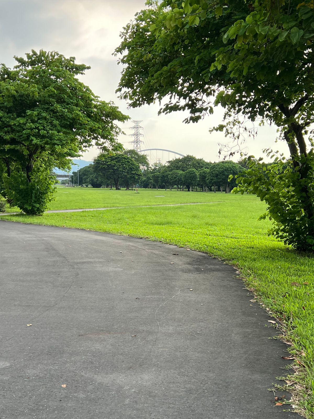 Hole 7