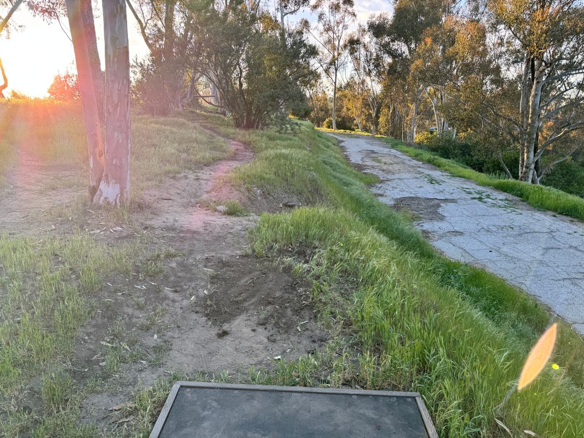 17 tee box
