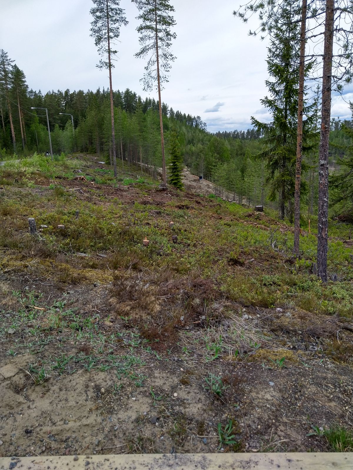 Tarinalaakso New Course väylä 1