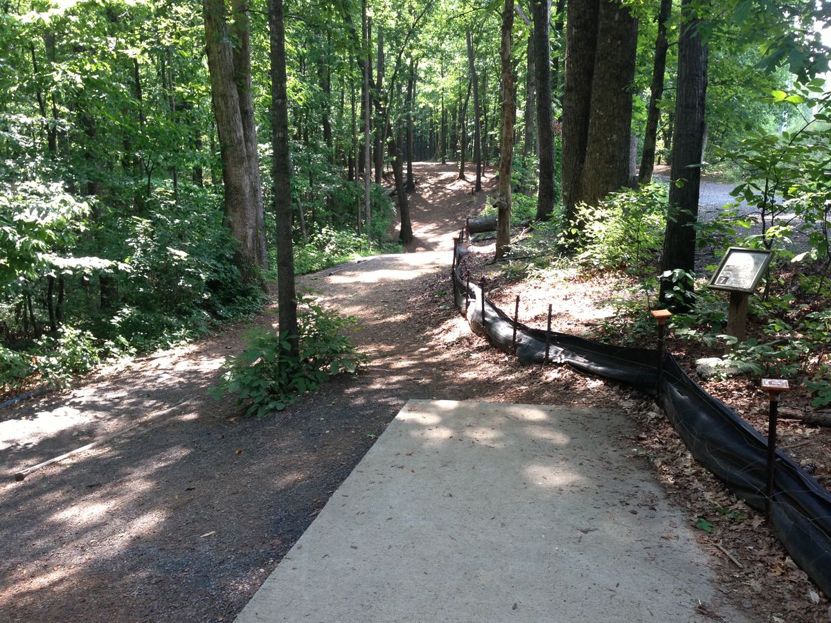 Hole 7 -- long tee