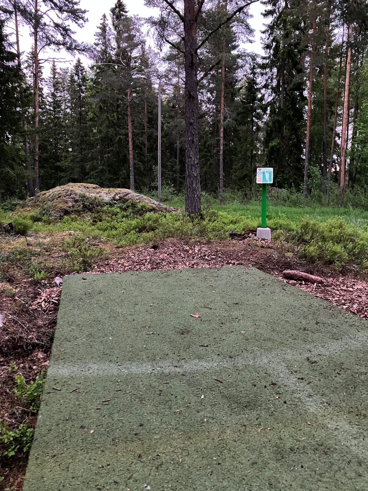 Tee 7