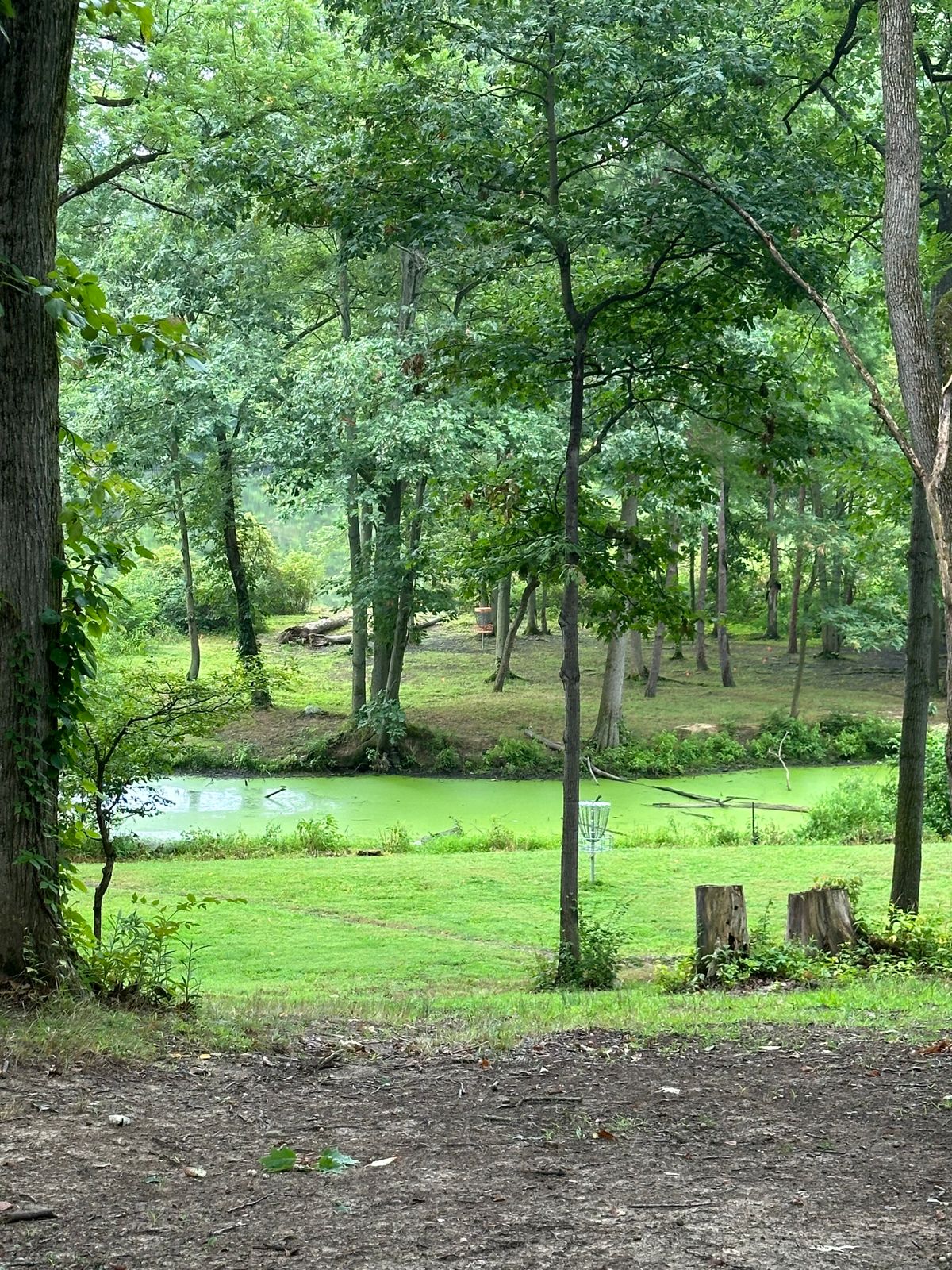 Top of hill in the fairway of the Lost Island Hole 16 (8/3/24)