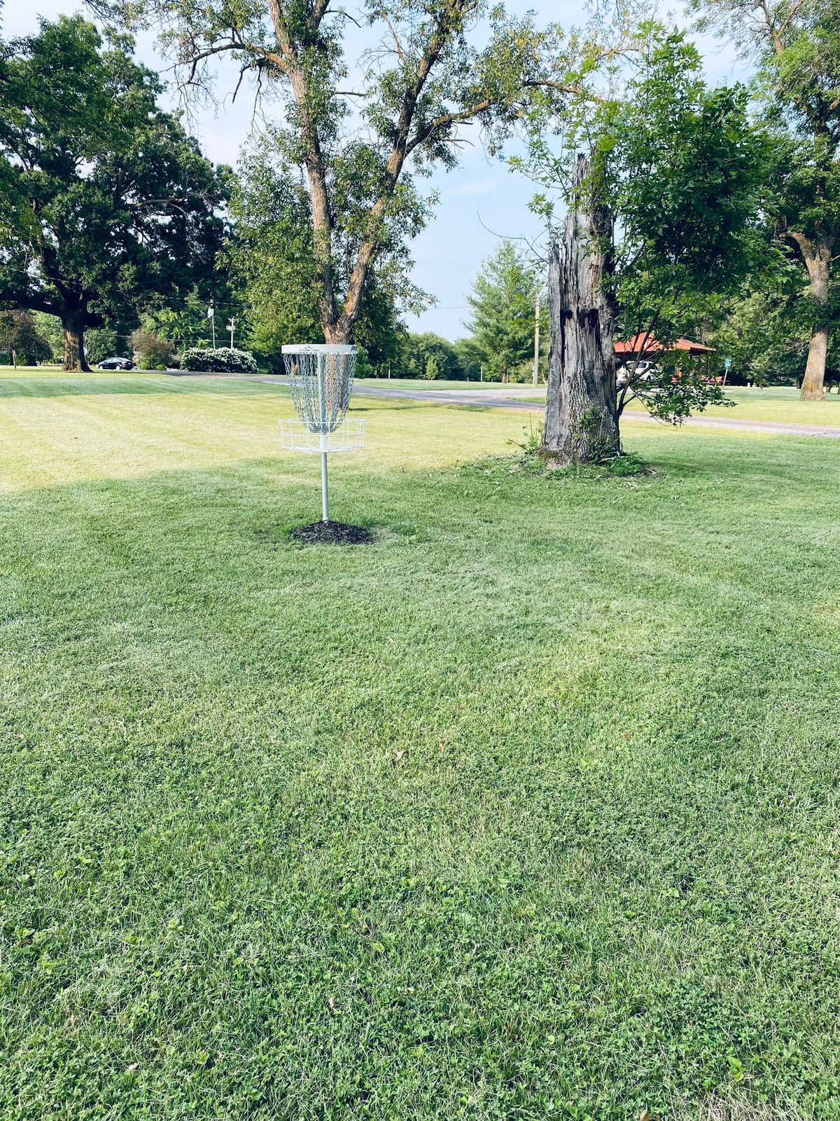 14 green