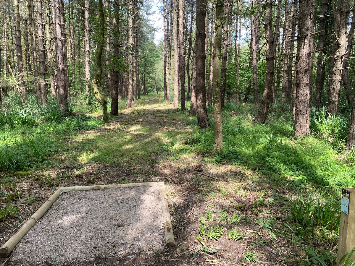 Hole 5 - Long