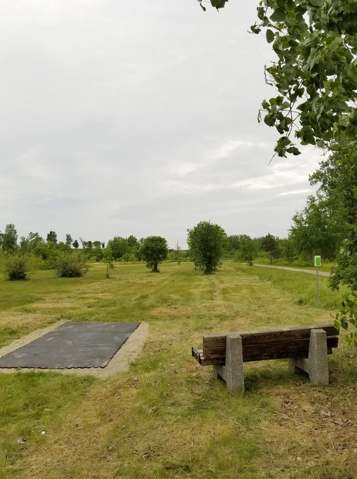 Hole 9 shorts