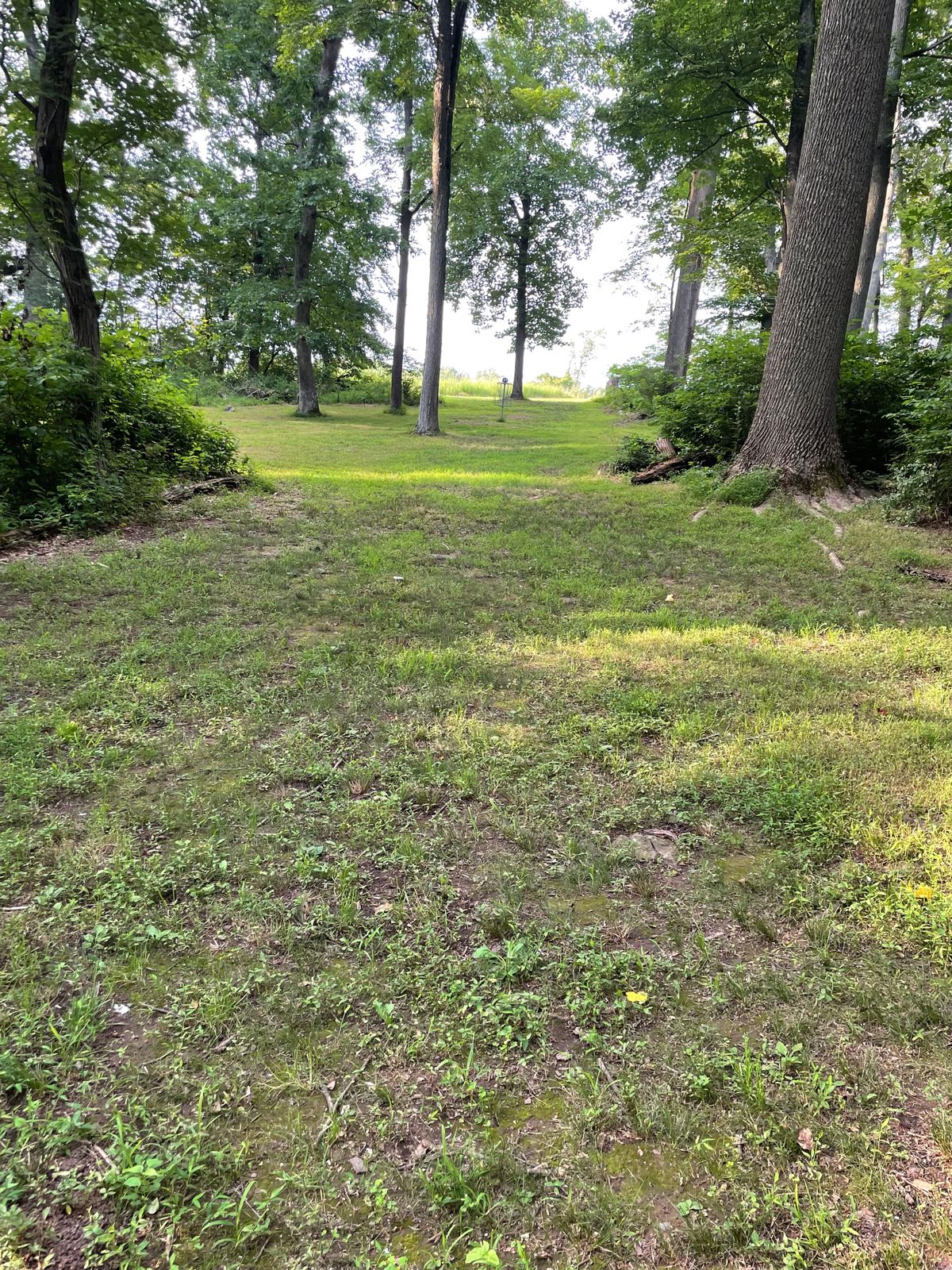 Hole 31 approach to B pin position