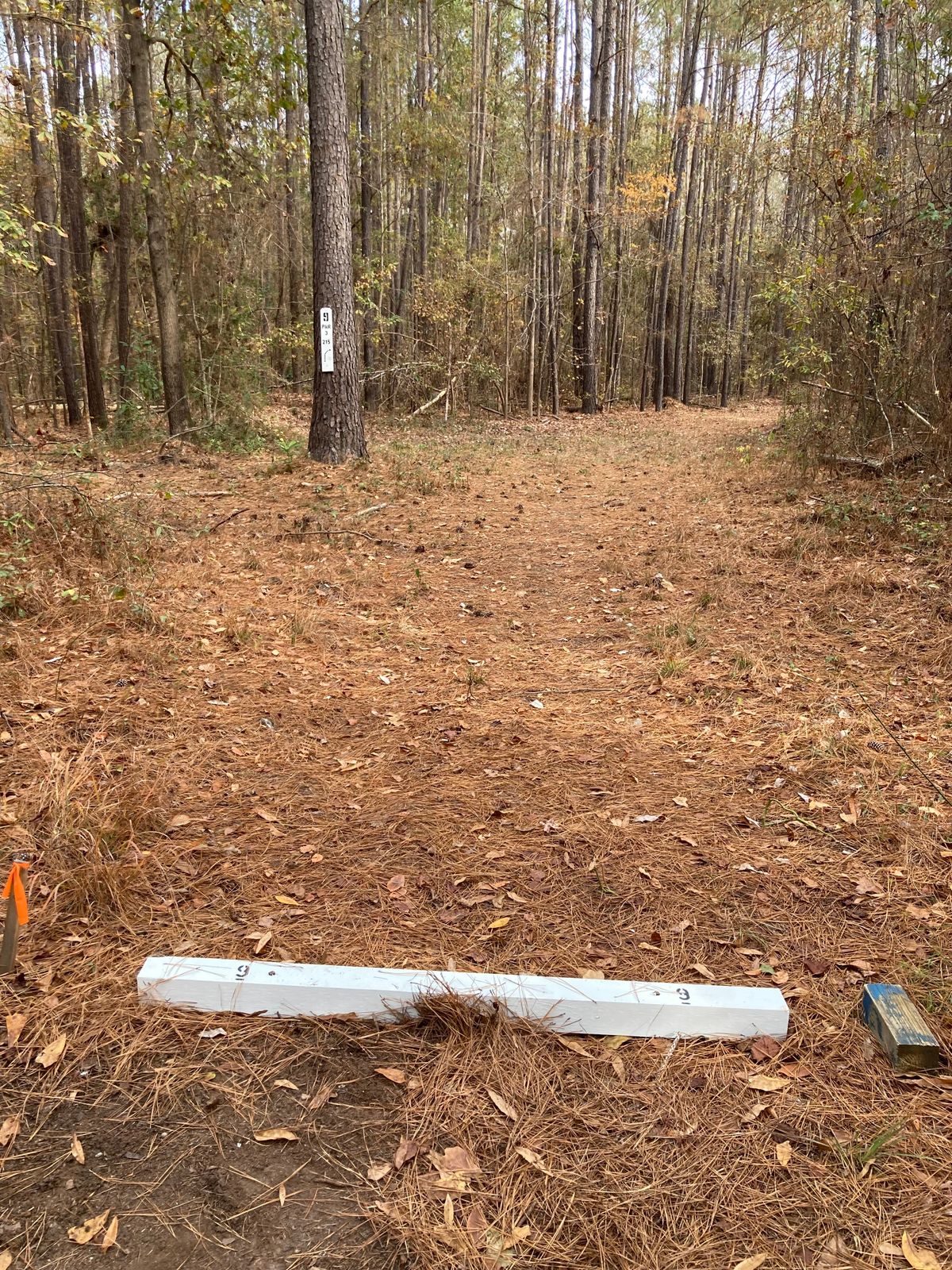 Hole 9, Tee Box, 215’ Bending to the Right.