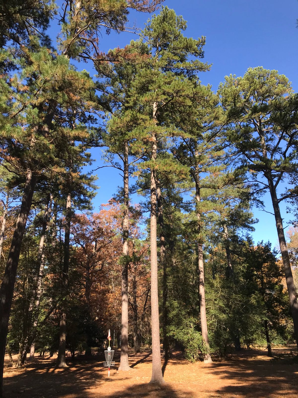 Hole 15