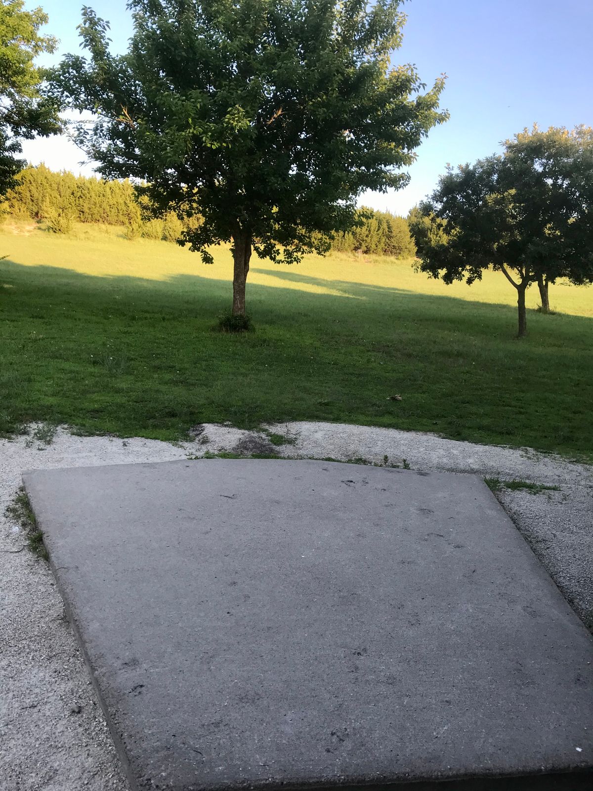 Hole 7  Tee